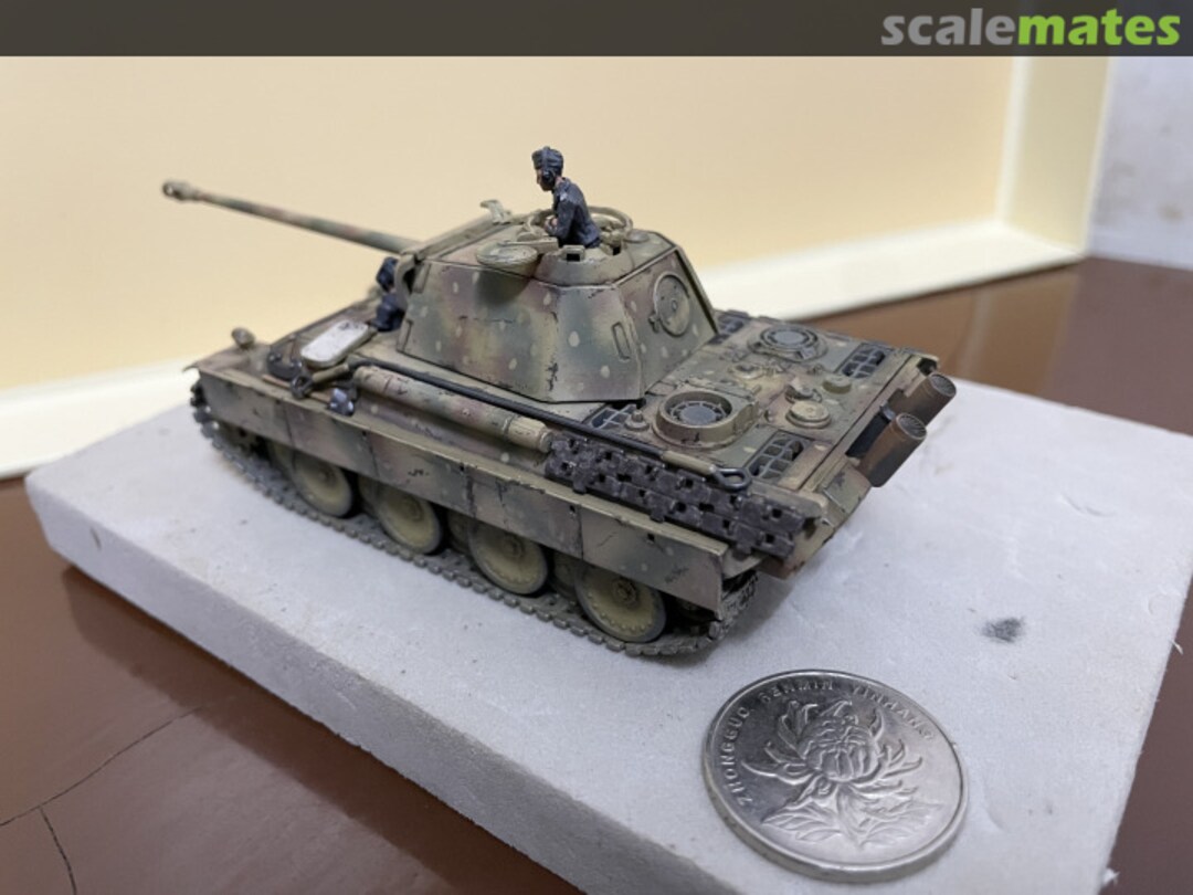 View album, image #1 View album, image #1