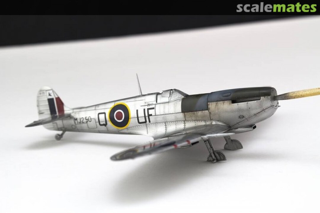 View album, image #10 View album, image #10