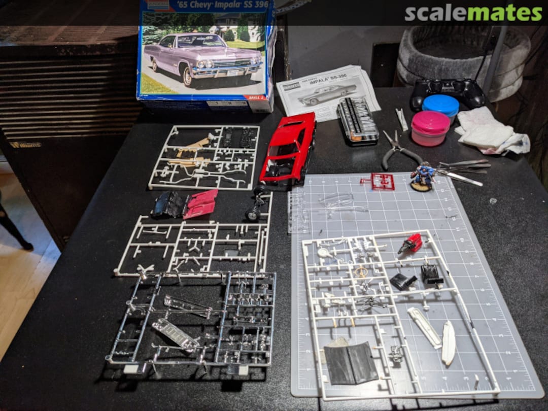 View album, image #1 View album, image #1