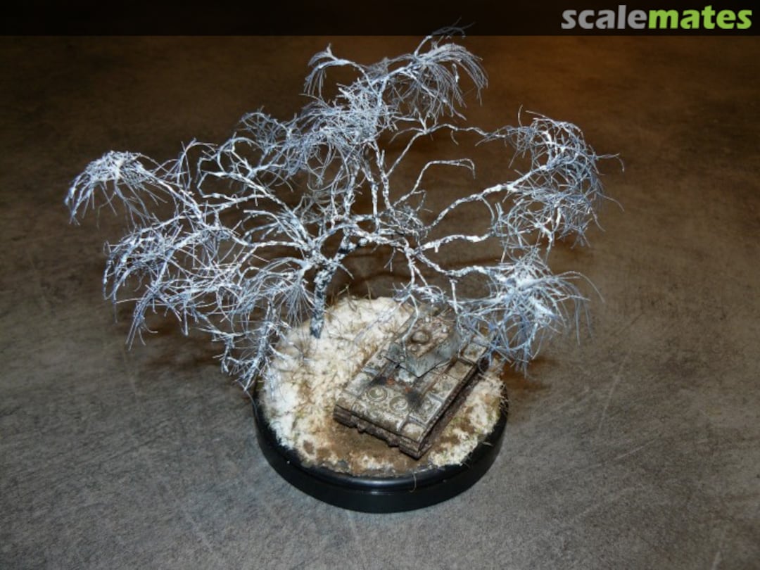 View album, image #1