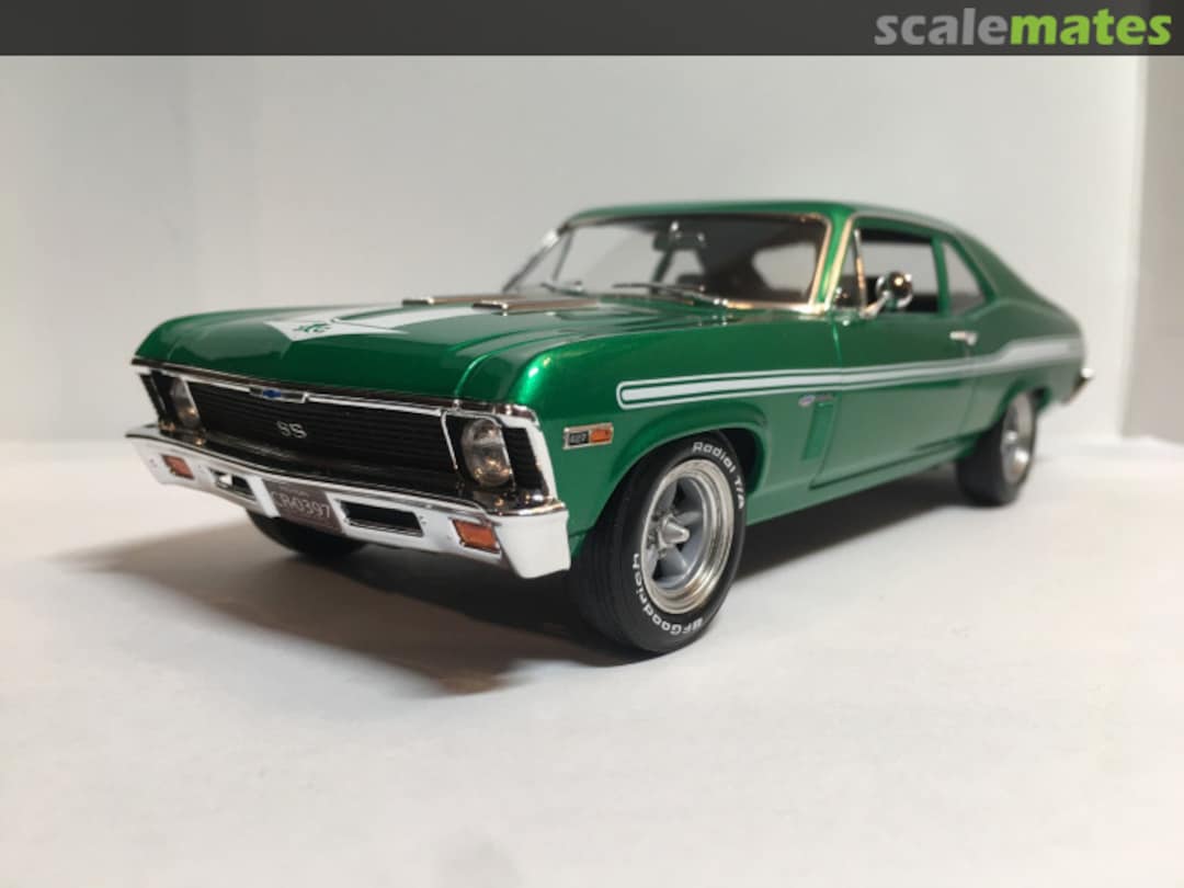 View album, image #1 View album, image #1