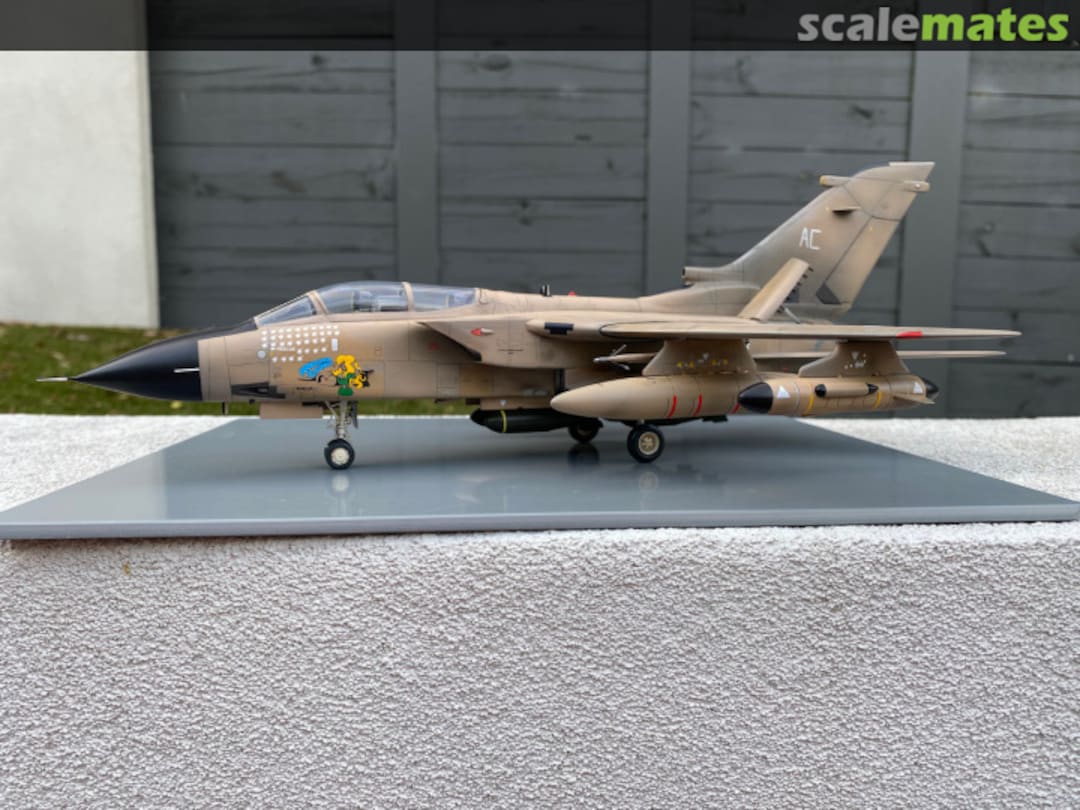 View album, image #1 View album, image #1