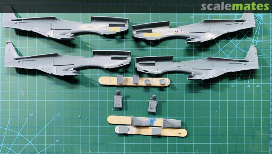 View album, image #1