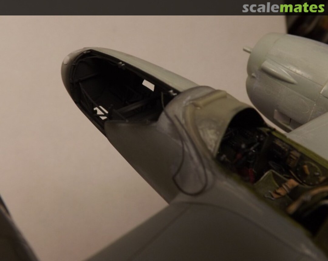 View album, image #1 View album, image #1