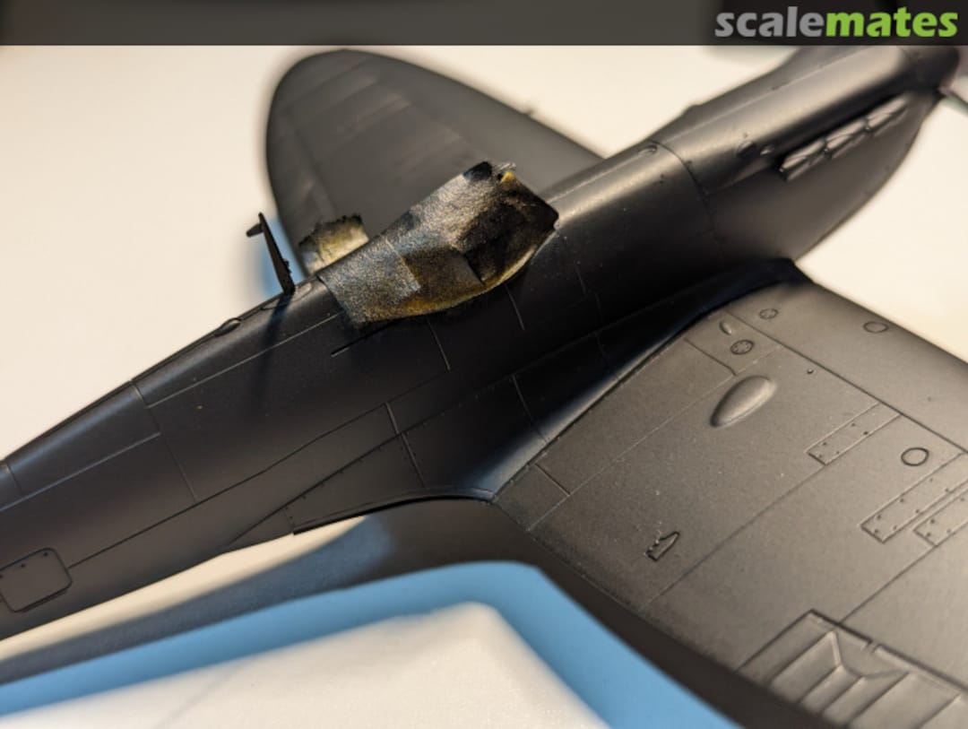 View album, image #1