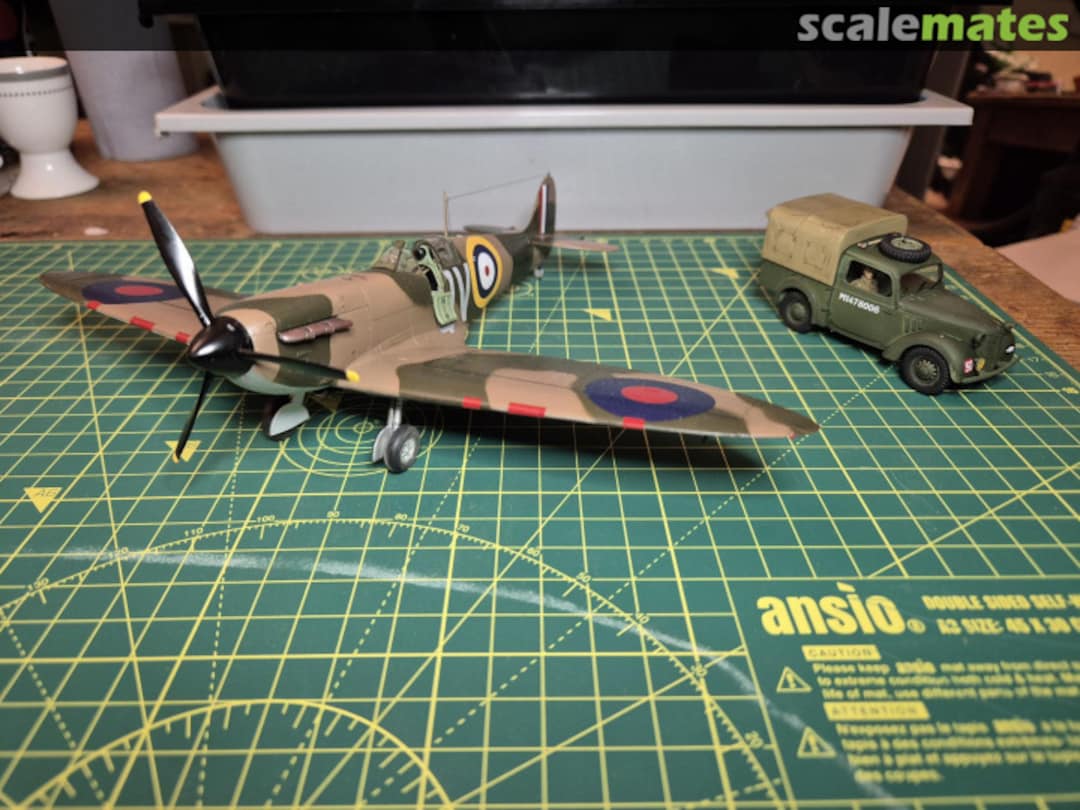 View album, image #13 View album, image #13