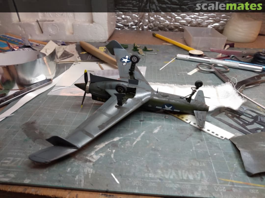 View album, image #1