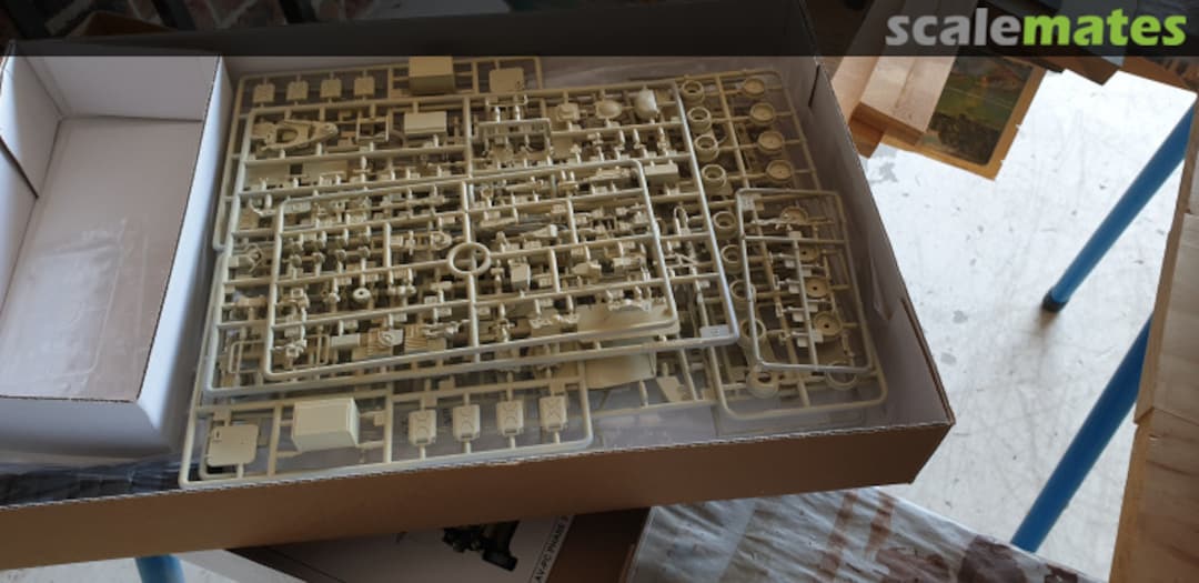 View album, image #1 View album, image #1