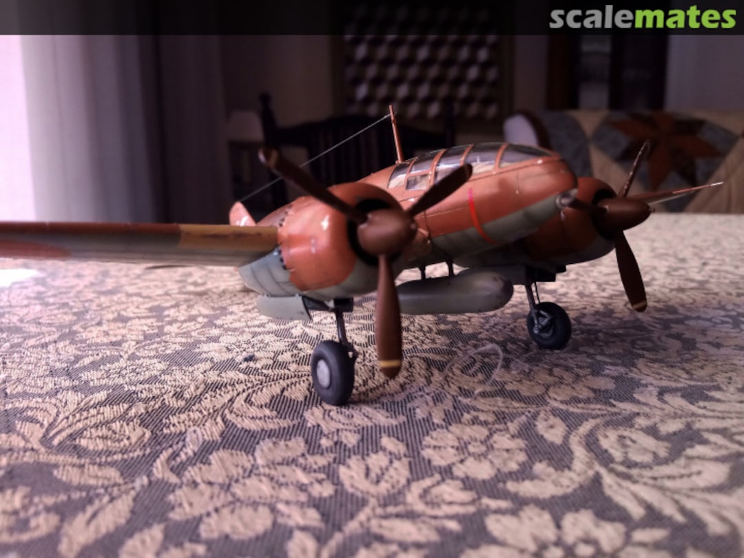 View album, image #3 View album, image #3