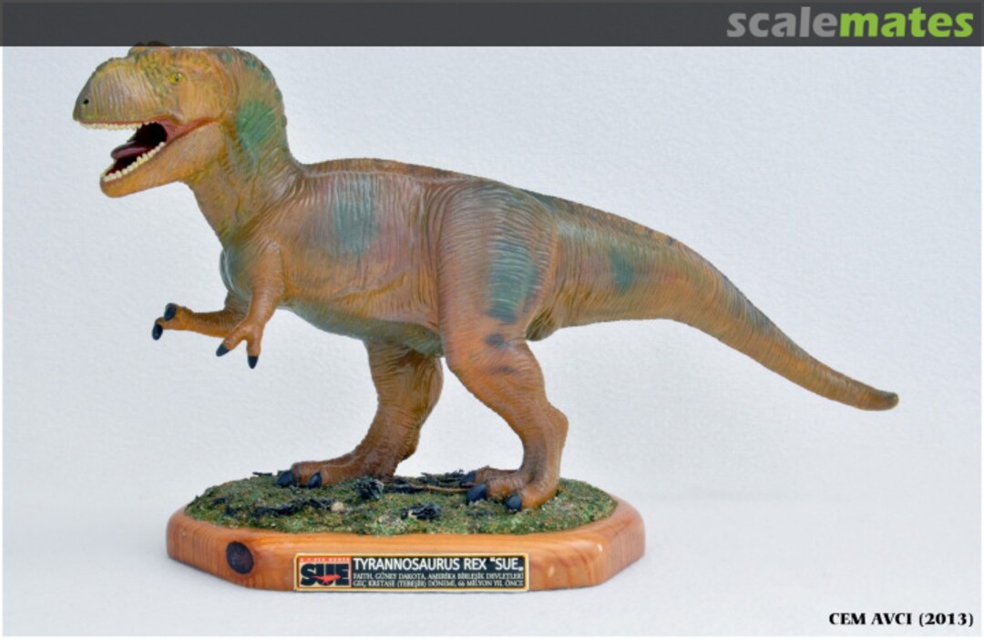 View album, image #1 View album, image #1