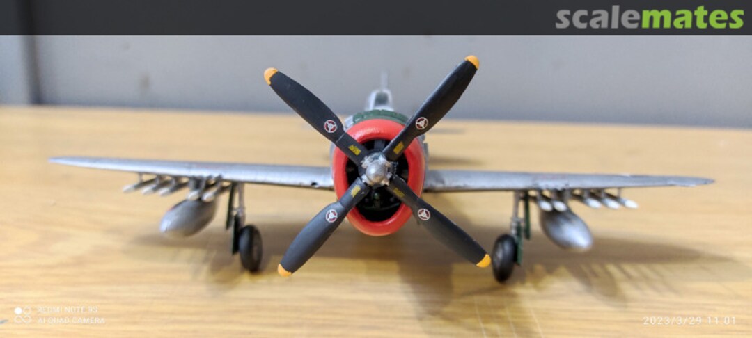 View album, image #1 View album, image #1