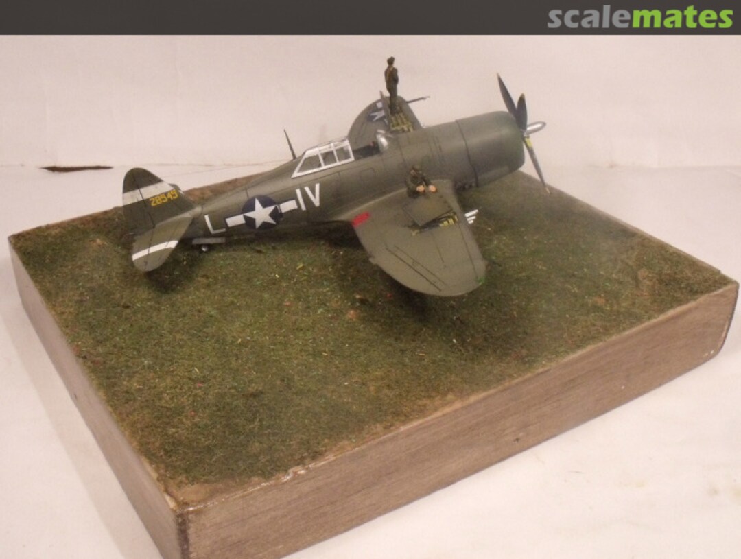 View album, image #1 View album, image #1