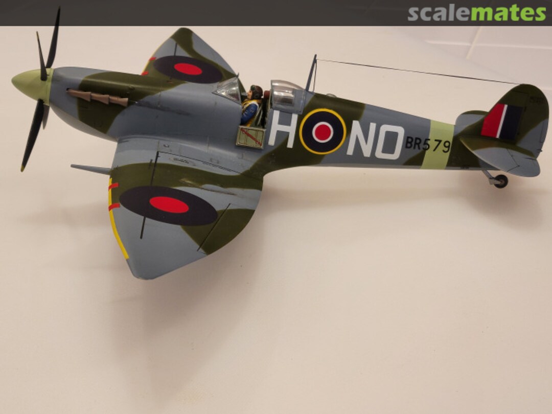 View album, image #1 View album, image #1