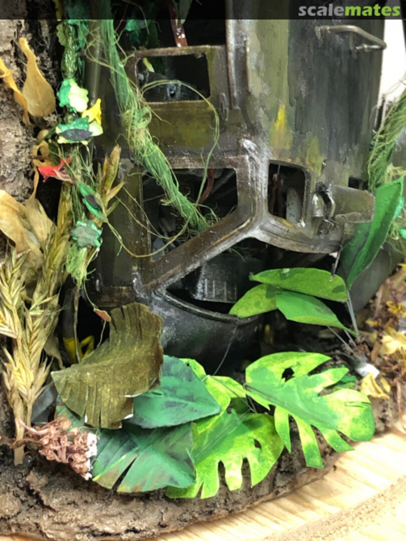 View album, image #1 View album, image #1