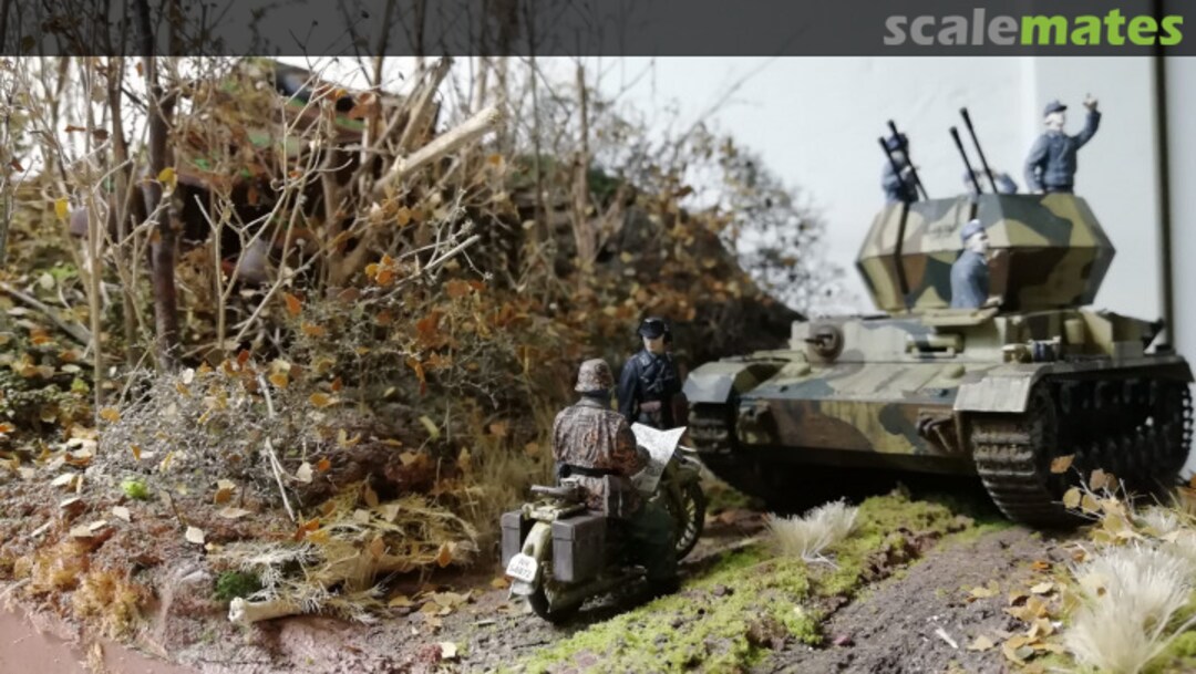 View album, image #1 View album, image #1