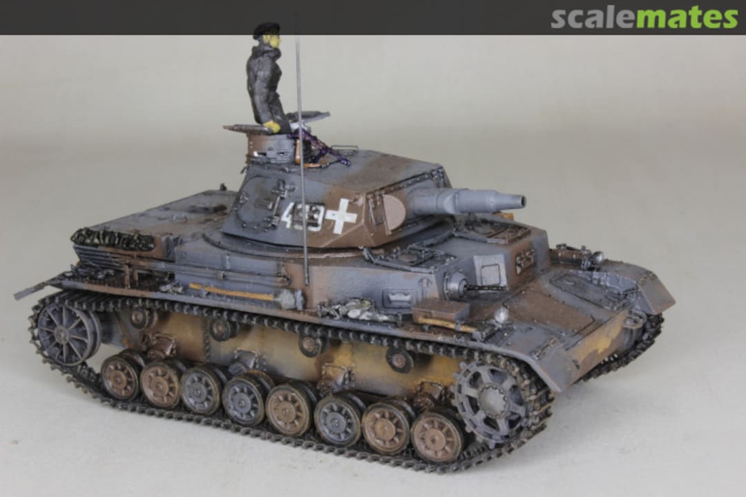 View album, image #1 View album, image #1