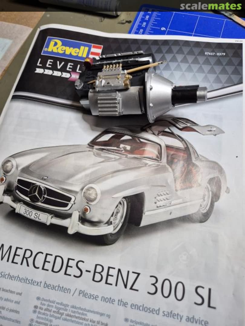 View album, image #1 View album, image #1