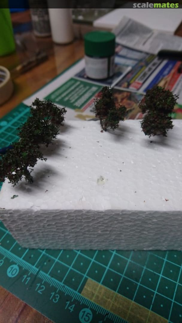 View album, image #1