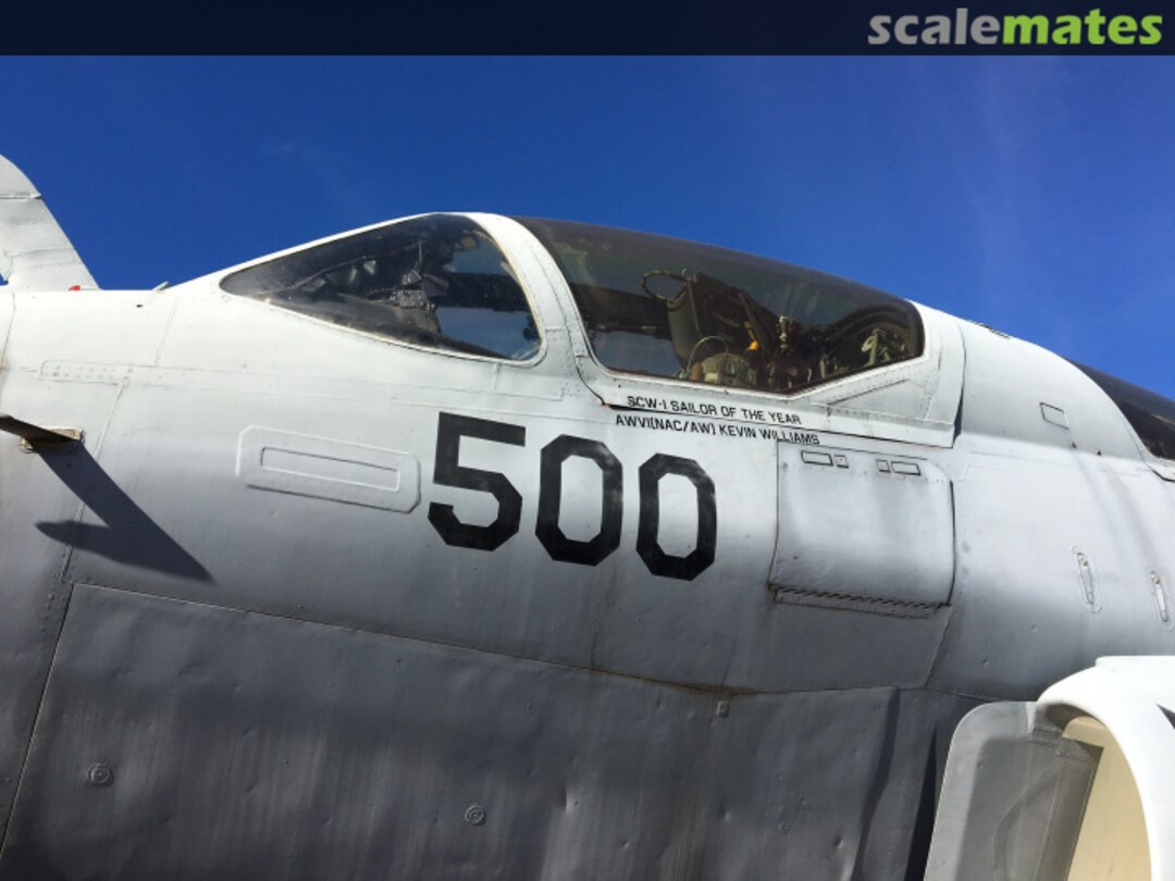 View album, image #1 View album, image #1