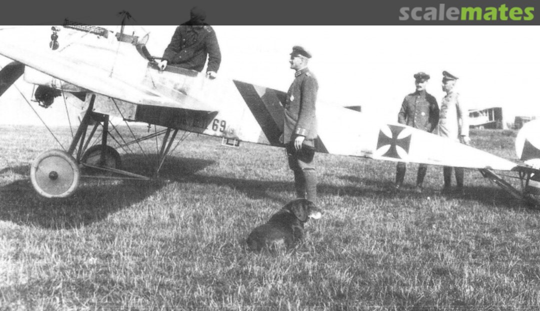 View album, image #11