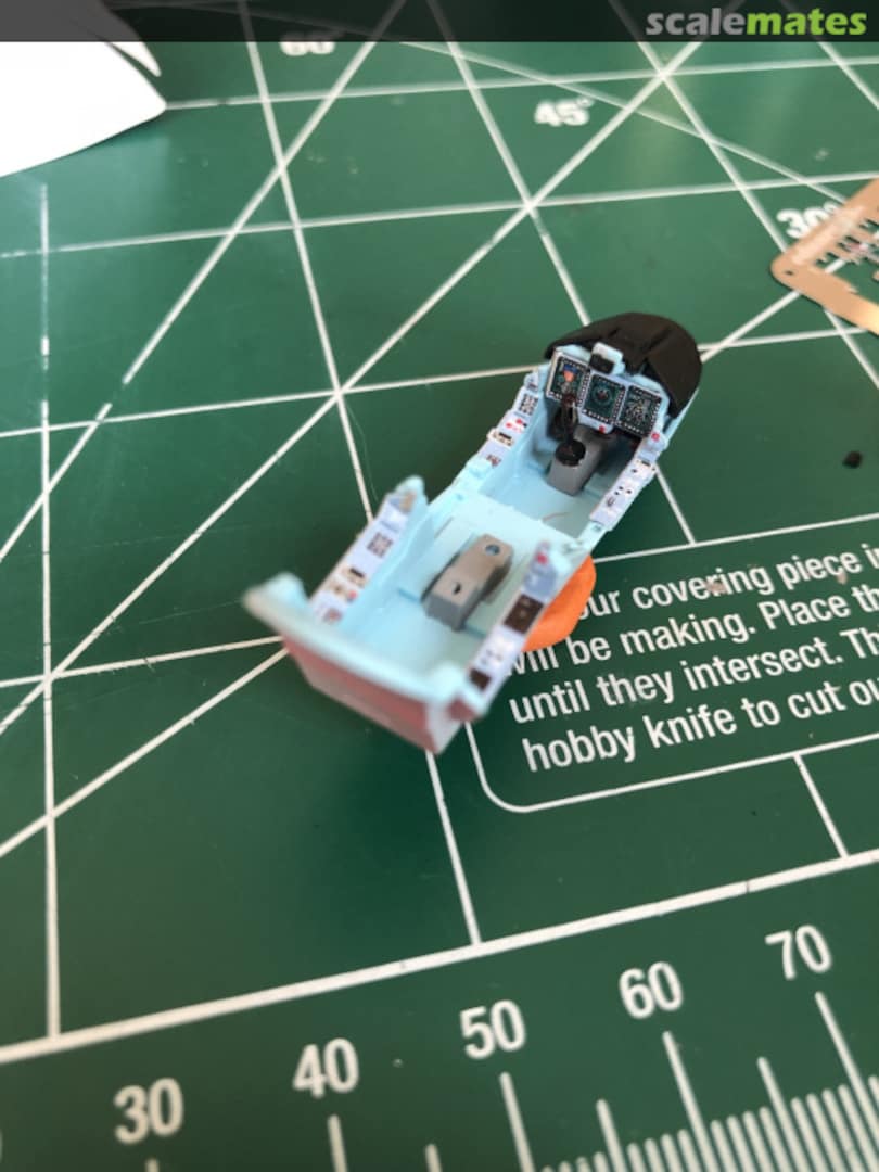 View album, image #11 View album, image #11