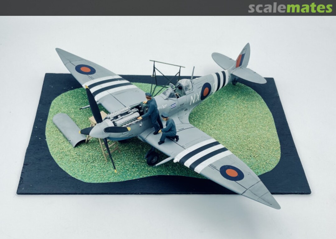 View album, image #41 View album, image #41