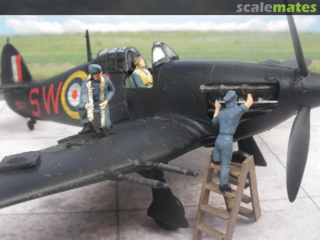 View album, image #1 View album, image #1