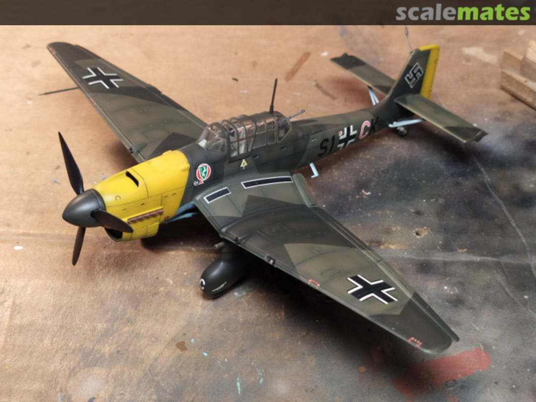 View album, image #1 View album, image #1