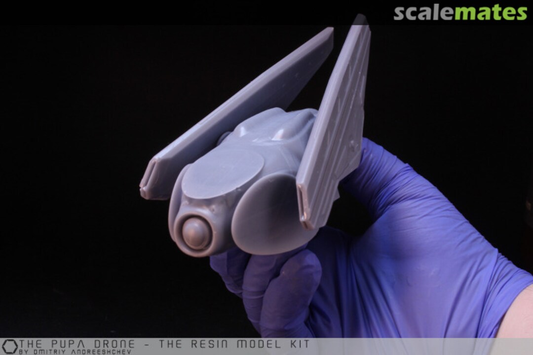 View album, image #6