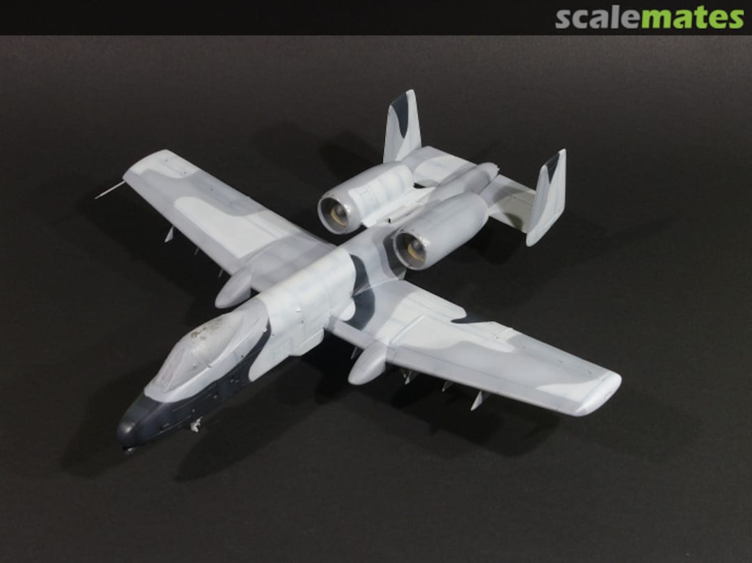 View album, image #6 View album, image #6