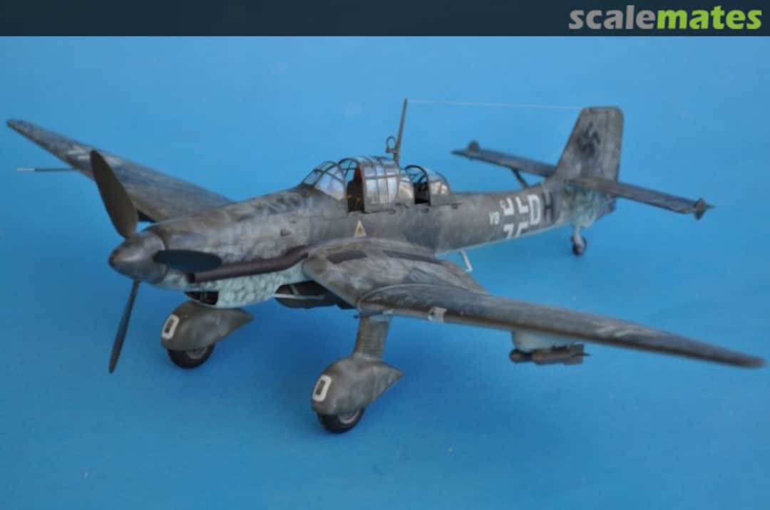 View album, image #1 View album, image #1