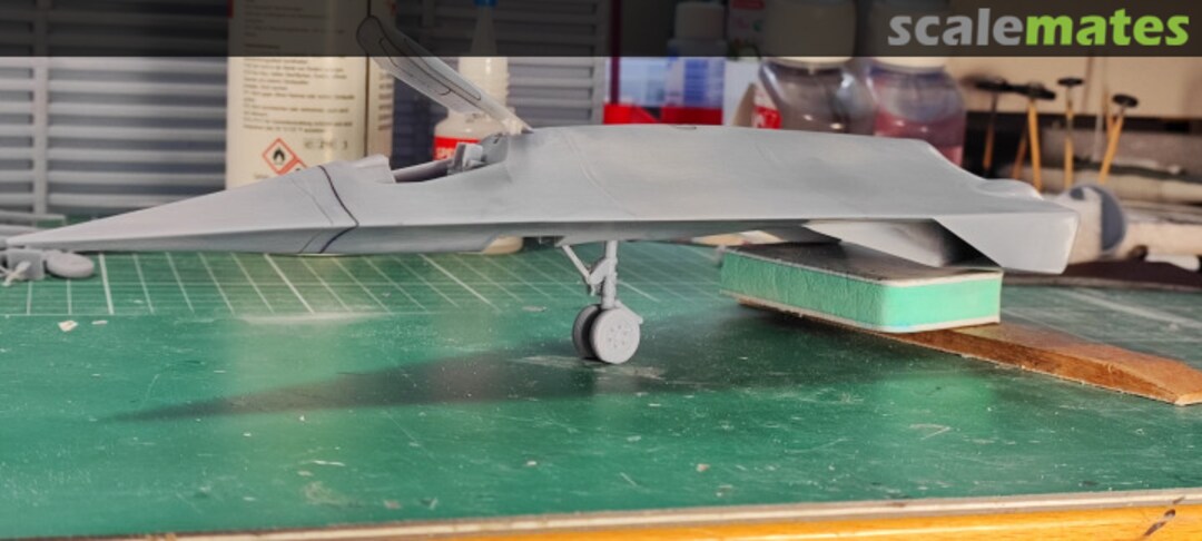 View album, image #66 View album, image #66