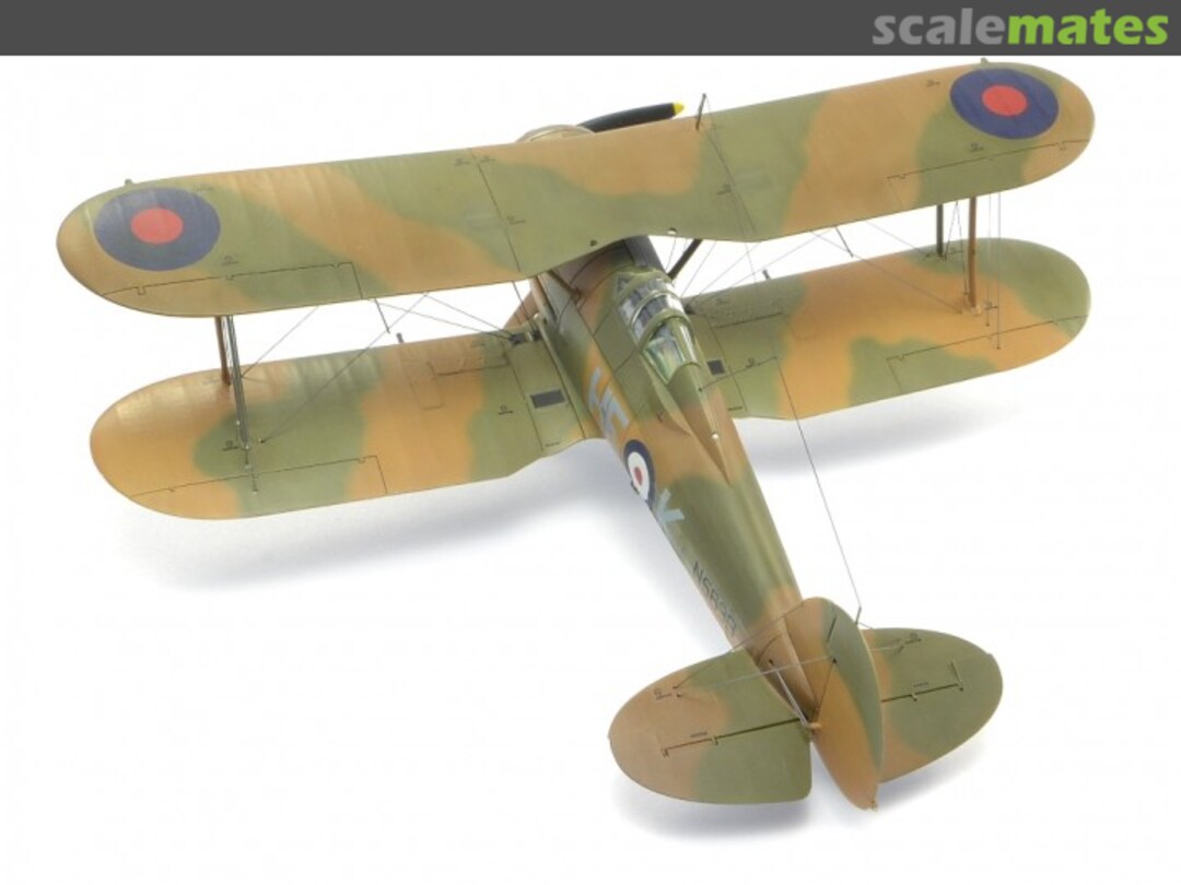 View album, image #1 View album, image #1