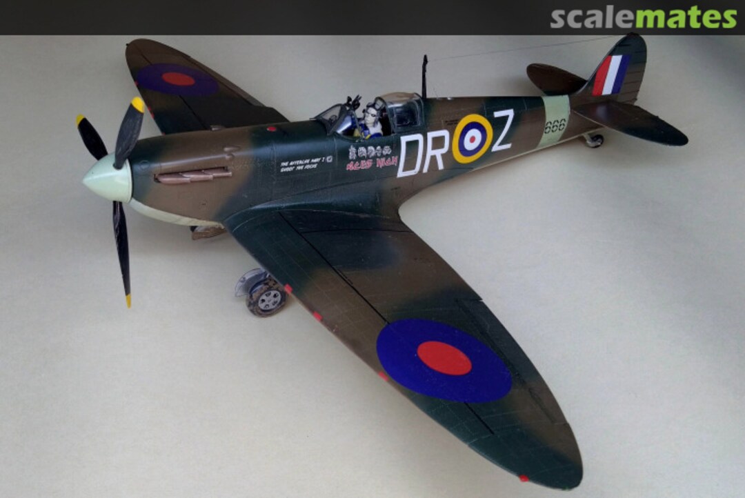 View album, image #1 View album, image #1