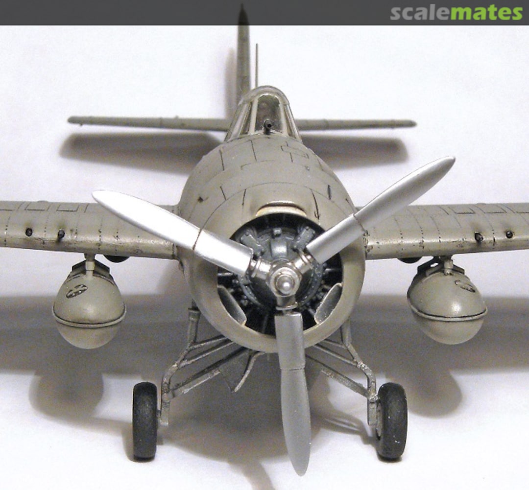 View album, image #10 View album, image #10