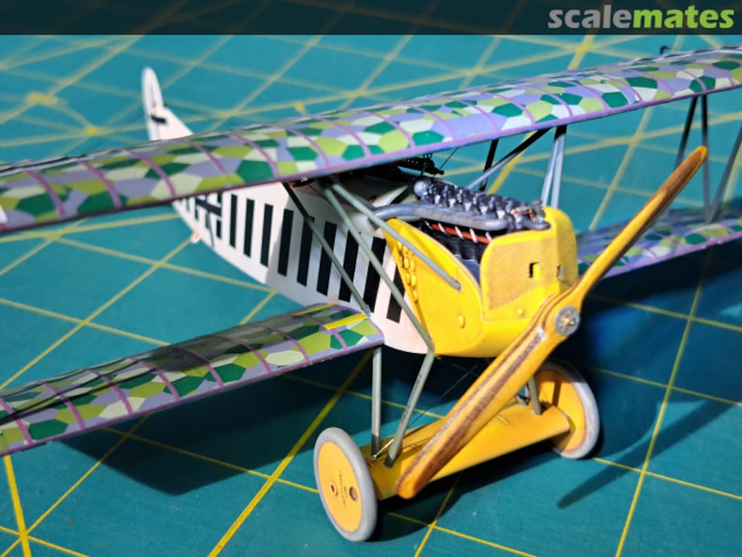 View album, image #13 View album, image #13