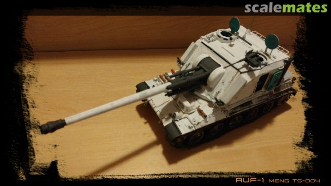 View album, image #1 View album, image #1