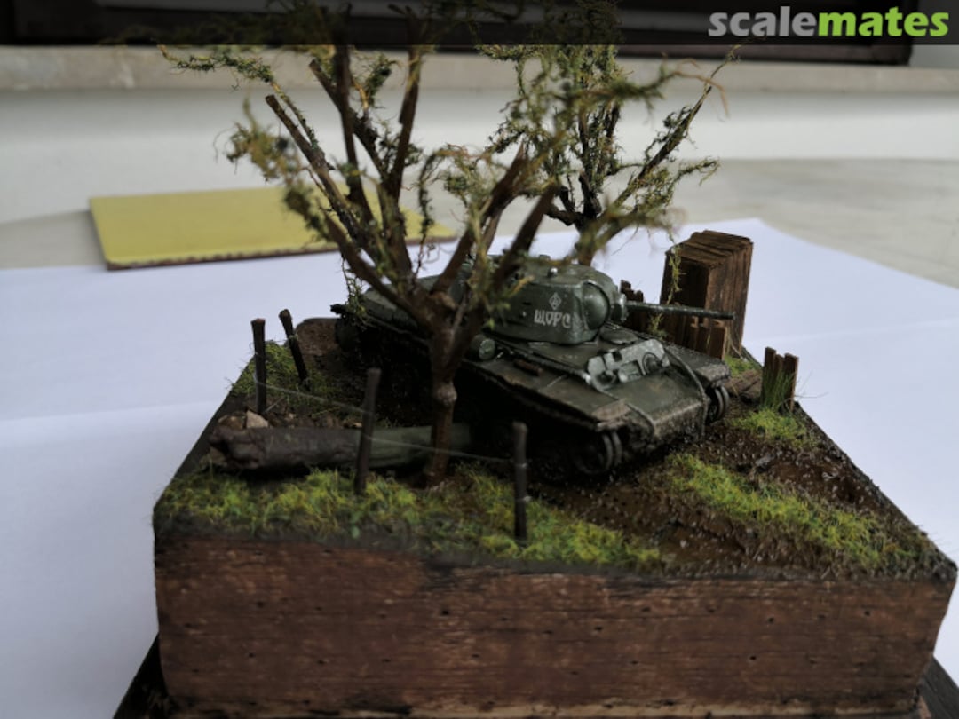 View album, image #1 View album, image #1