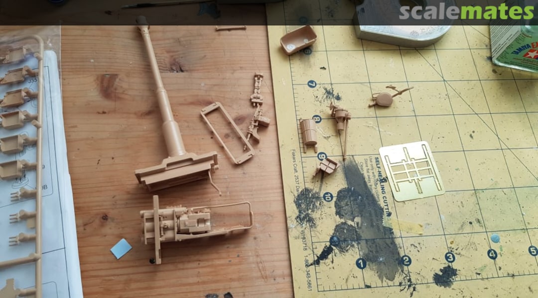 View album, image #1 View album, image #1