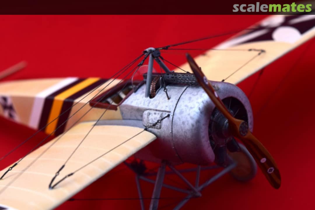 View album, image #18 View album, image #18