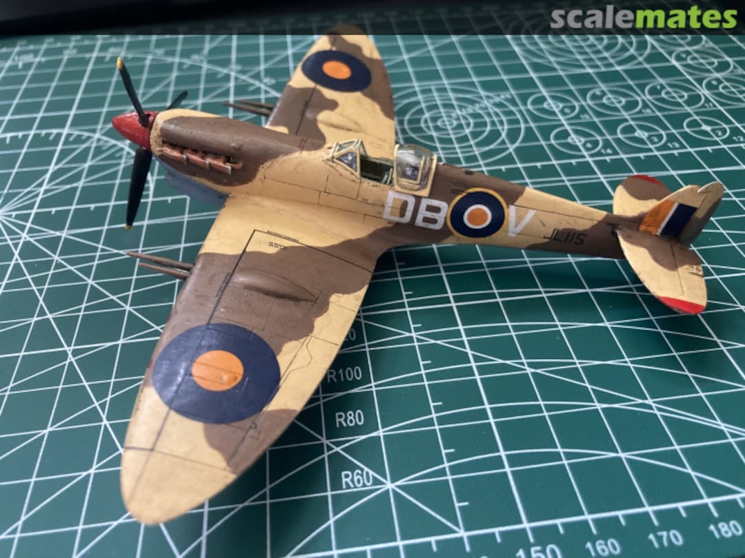 View album, image #1 View album, image #1