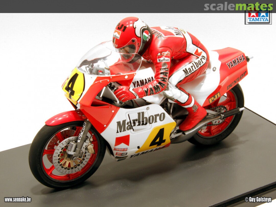 View album, image #1 View album, image #1