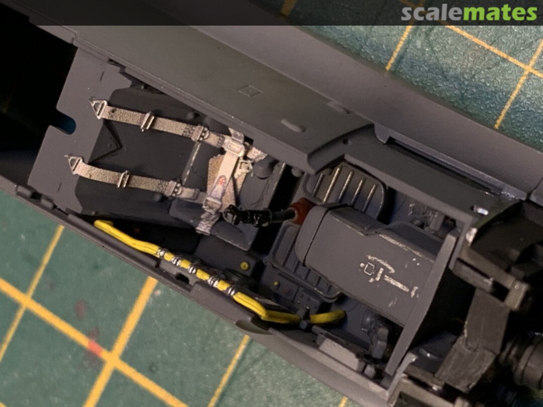 View album, image #1 View album, image #1