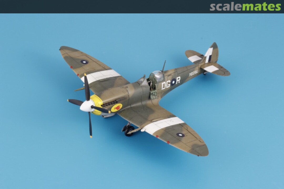 View album, image #1 View album, image #1