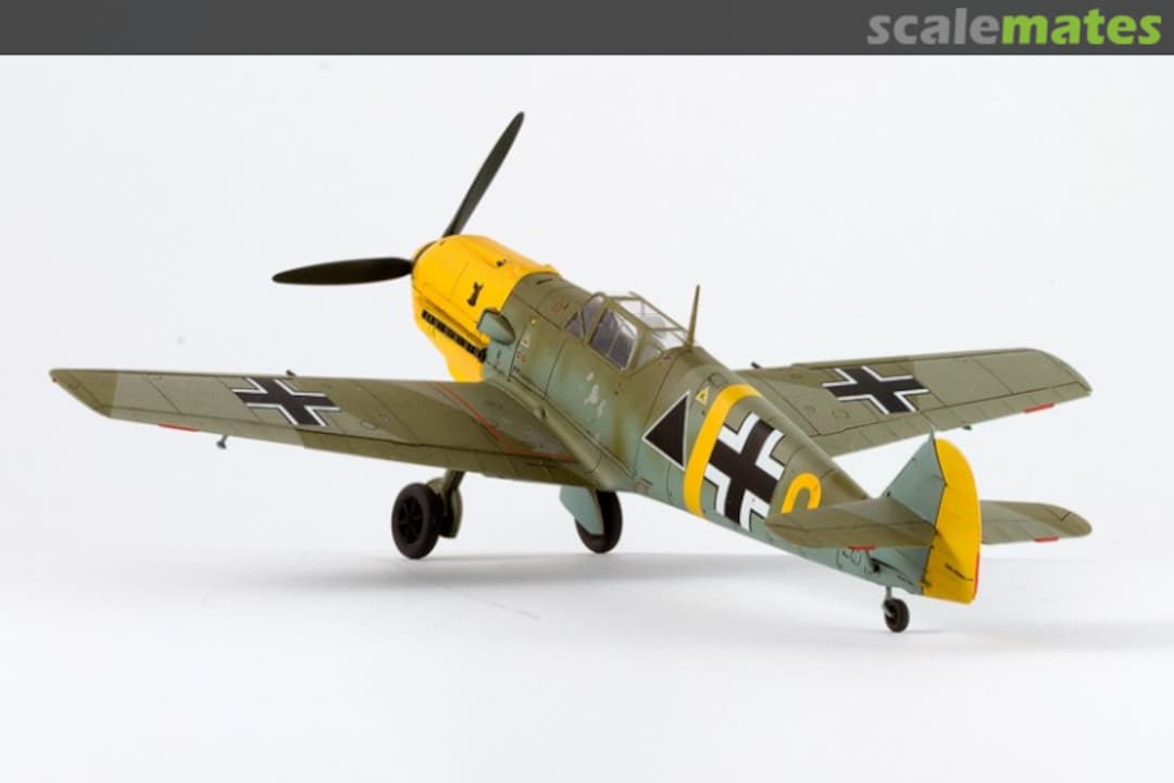 View album, image #4 View album, image #4