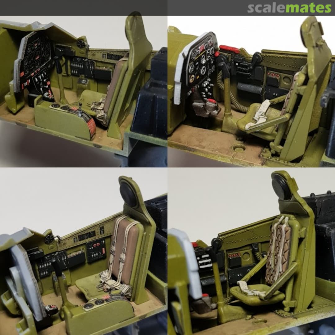 View album, image #4 View album, image #4