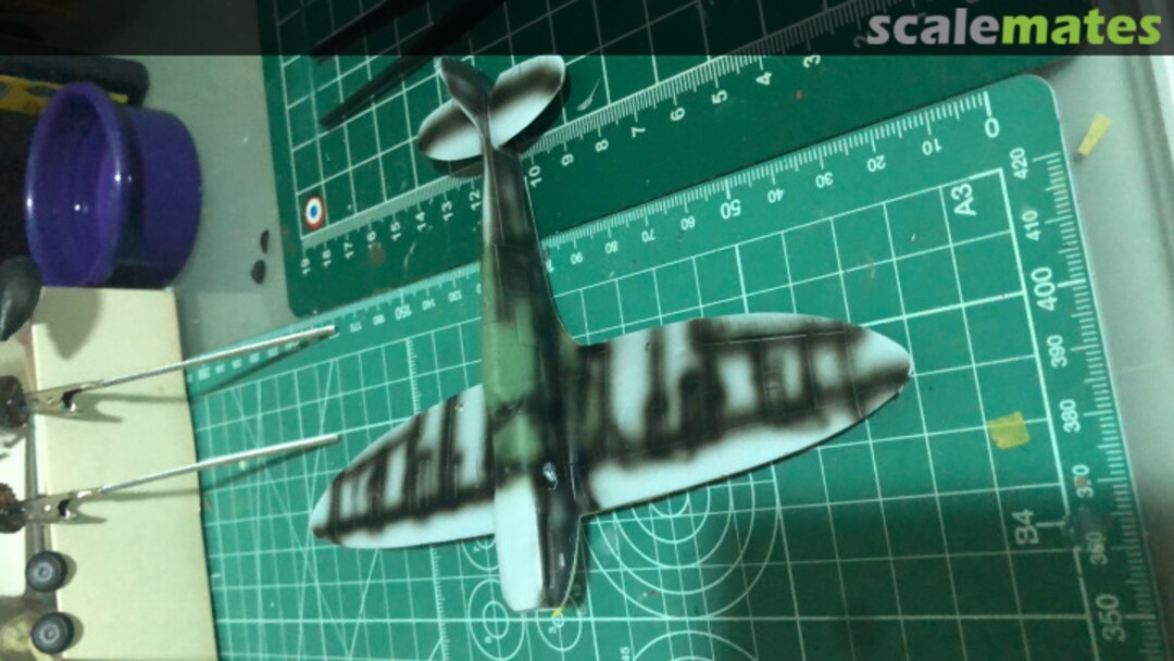 View album, image #1