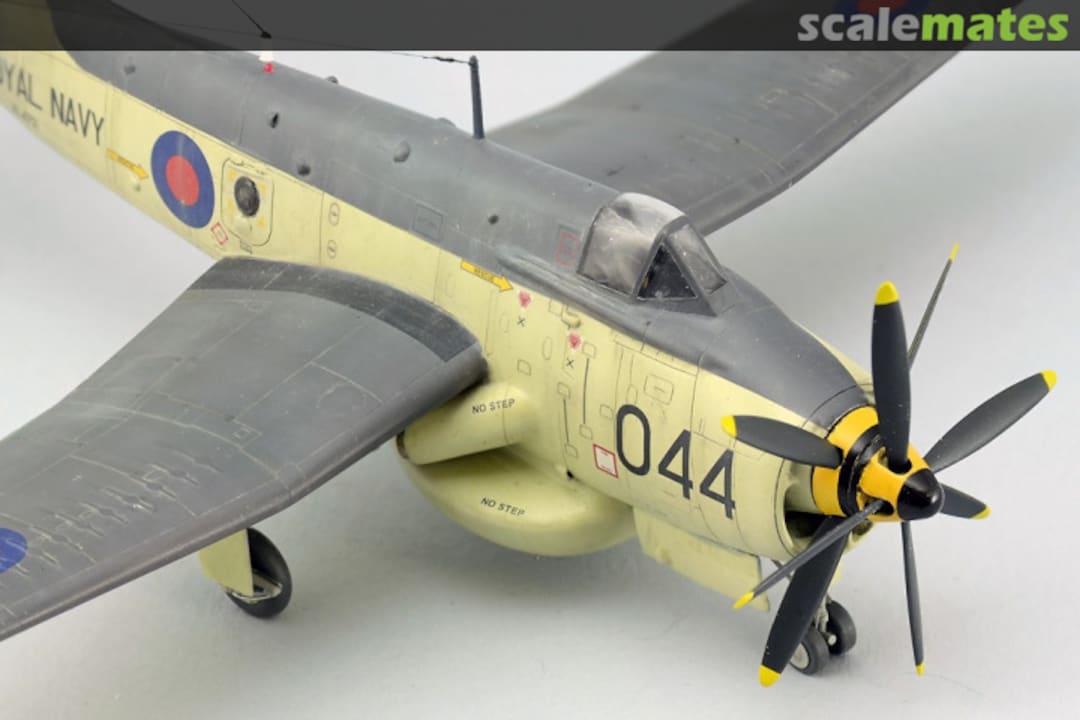 View album, image #10 View album, image #10