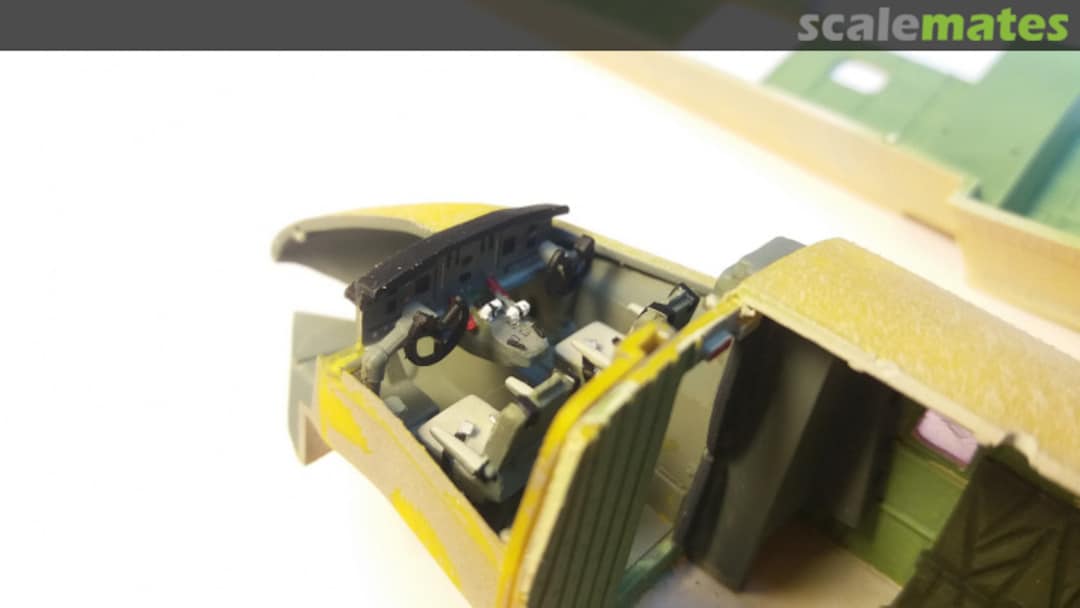 View album, image #1 View album, image #1