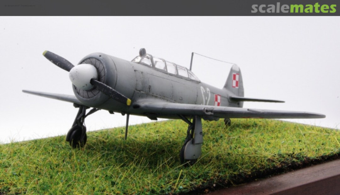 View album, image #8 View album, image #8